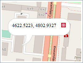 Координаты выбранной точки на карте Координаты выбранной точки на карте