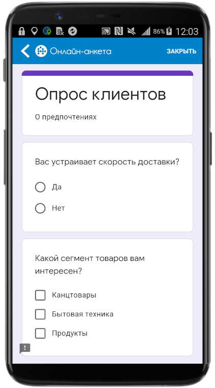 Внешний вид анкеты на мобильном устройстве